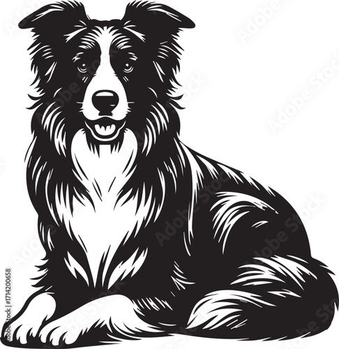 Border Collie Dog Vector Illustration, Black and White Silhouette, Pet Animal Design