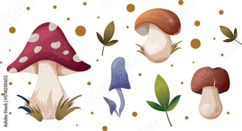 mushroom set