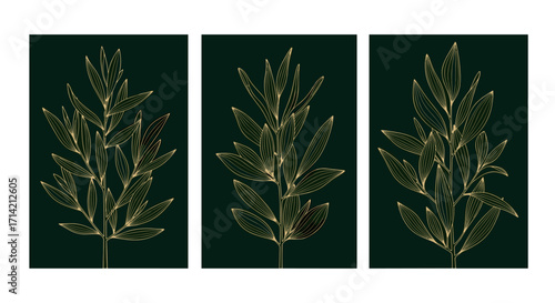 Three botanical illustrations of green leaves on a dark background.