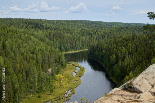 A Scenic River View that is Beautifully Surrounded by a Lush Green Forest Landscape