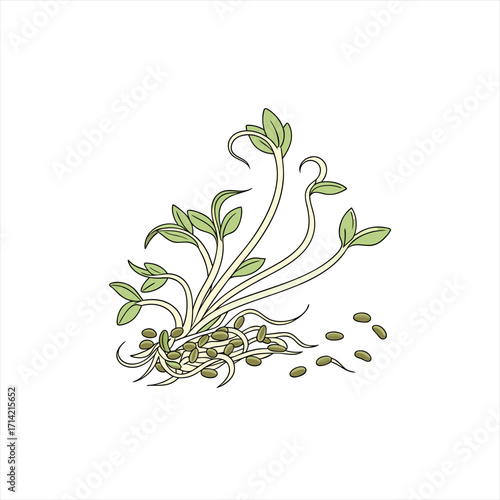Illustration of healthy green sprouts and seeds on a white background