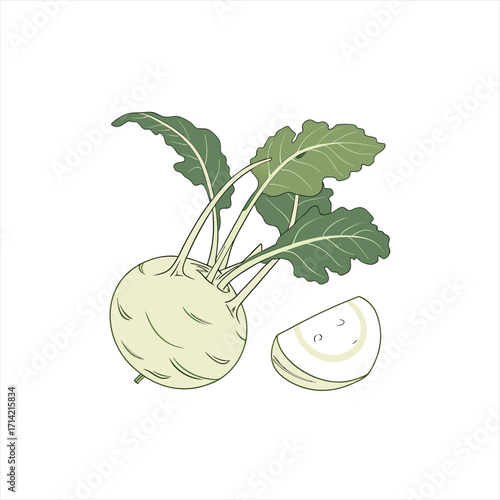 Illustration of a whole kohlrabi vegetable with green leaves and a sliced piece
