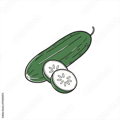 Green cucumber with slices illustration on white background