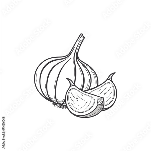 Hand drawn illustration of a garlic bulb with cloves on a white background