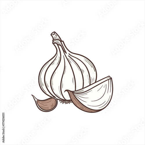 Hand drawn illustration of a garlic bulb with cloves