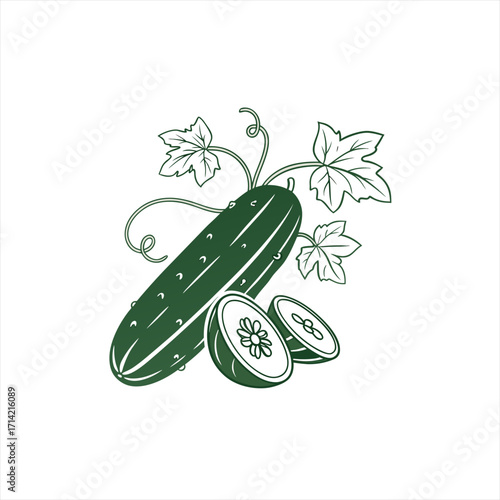 Fresh cucumber with leaves and slices illustration