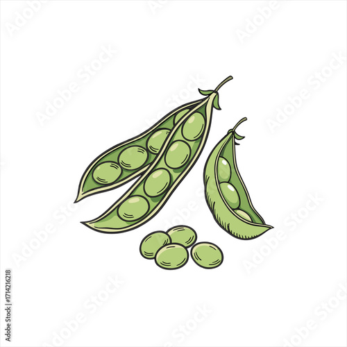 Fresh green peas in pods and loose on a white background