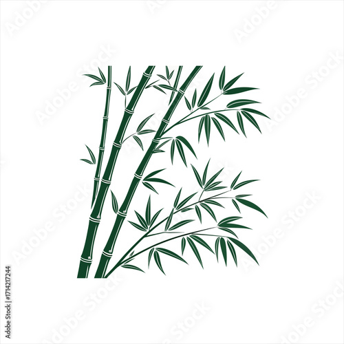Dark green bamboo stalks and leaves illustration on white background