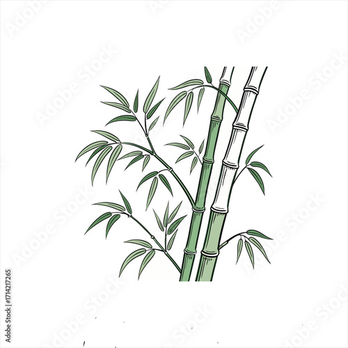 Stylized illustration of green bamboo stalks and leaves on a white background