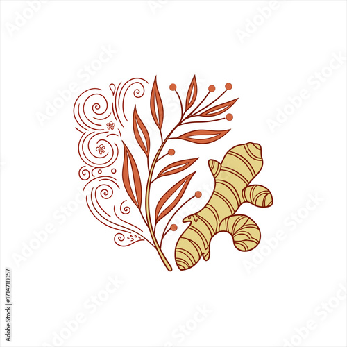 Decorative ginger root and botanical illustration with swirls