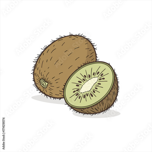 Illustration of a whole kiwi fruit and a half kiwi fruit with seeds