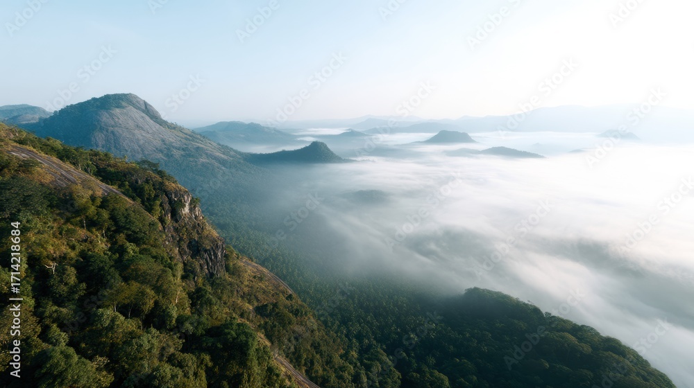 Fototapeta premium Breathtaking aerial view of mountain valley covered in morning mist, with lush green forests and distant peaks under clear blue sky