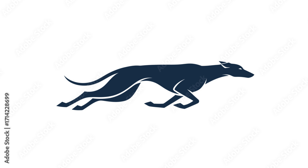 Fototapeta premium Elegant dark silhouette of a greyhound dog in full stride.