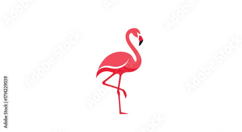 Elegant pink flamingo bird standing on one leg illustration.