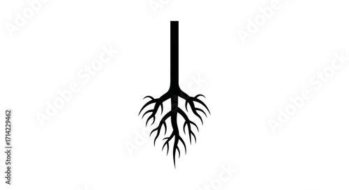 Simple black silhouette icon of a tree root system.