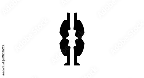 Abstract symmetrical design focused on a central repeating pattern with a vertical axis of symmetry.