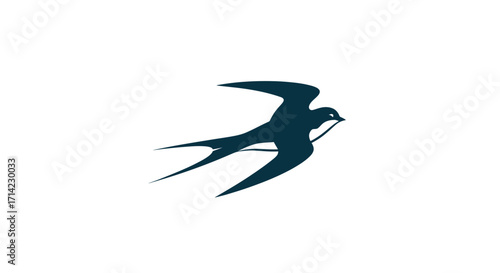 Elegant Swallow Bird Flying With Nesting Material Silhouette.