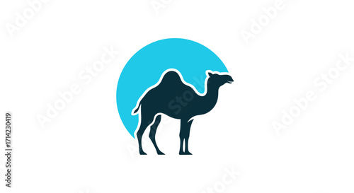 Silhouette of a camel standing.