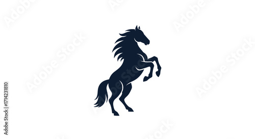 Majestic dark horse rearing powerfully on white background.