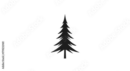 Silhouette of a Coniferous Tree: Evergreen Symbol of Nature.