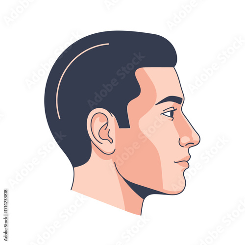 Illustration of a man's head in profile, showcasing his facial features and hairstyle.