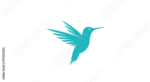 Elegant teal hummingbird soaring gracefully against a white backdrop.