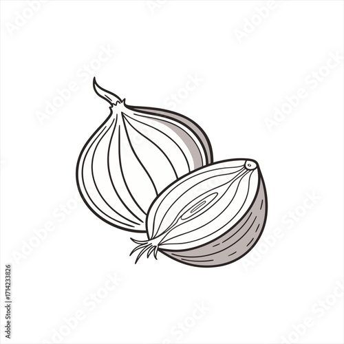 Stylized illustration of a whole onion and a halved onion on white background