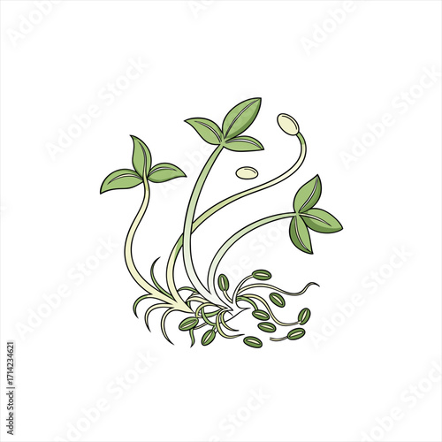 Illustration of young sprouts growing from seeds with green leaves