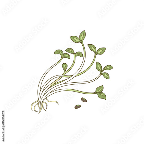 Illustration of young green sprouts with roots and seeds on a white background