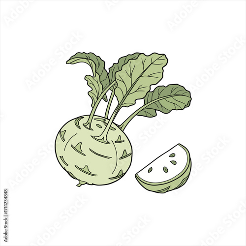 Kohlrabi vegetable with leaves and a slice on white background