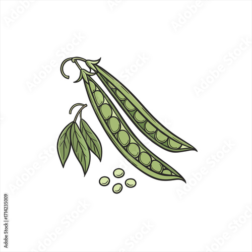 Fresh green pea pods with leaves and scattered peas illustration