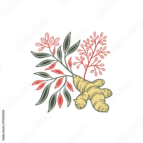 Stylized illustration of ginger root with red and green leaves