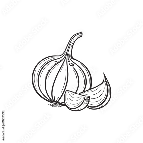 Black and white illustration of a whole garlic bulb with cloves