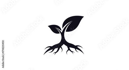 Black silhouette of a young plant seedling with roots growing.