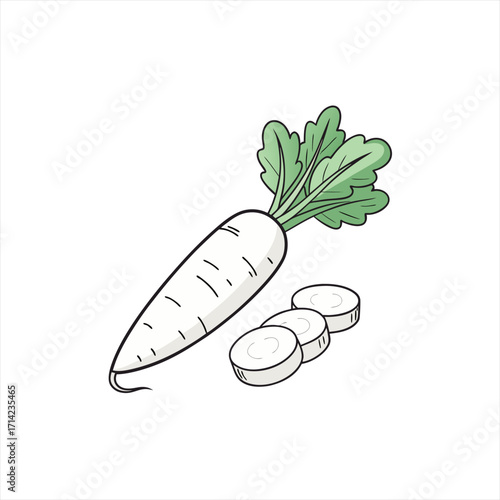 Daikon radish with green leaves and slices