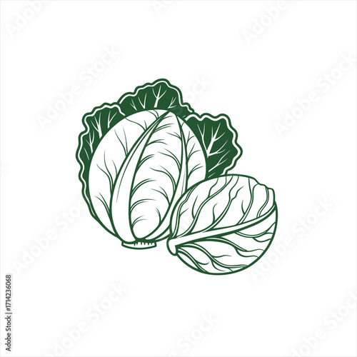 Stylized line art illustration of two green cabbages on white background