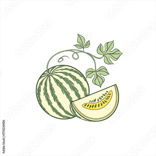 Wallpaper Mural Stylized illustration of a whole melon and a slice with leaves and vine Torontodigital.ca