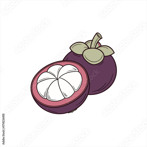 Wallpaper Mural Illustration of a whole and halved mangosteen fruit on a white background Torontodigital.ca