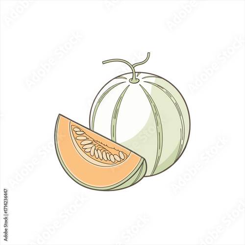 Wallpaper Mural Cantaloupe melon whole and slice illustration Torontodigital.ca