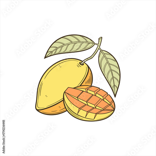 Wallpaper Mural Hand drawn illustration of a whole mango and a sliced mango with leaves Torontodigital.ca