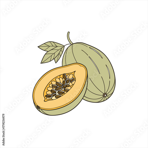 Wallpaper Mural Illustration of a whole and halved papaya fruit with seeds and leaves Torontodigital.ca