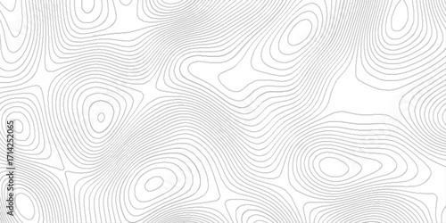 abstract texture with topographic contour, modern curve abstract topo map design, abstract curve grid map and topo contour map white background, topographic map geographic line texture.