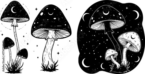 Magic mushroom with moon and stars set. Vector silhouette, black line contour drawing celestial fungus collection. Vector Black silhouettes. with white background 