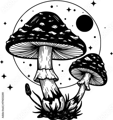 Magic mushroom with moon and stars set. Vector silhouette, black line contour drawing celestial fungus collection. Vector Black silhouettes. with white background 