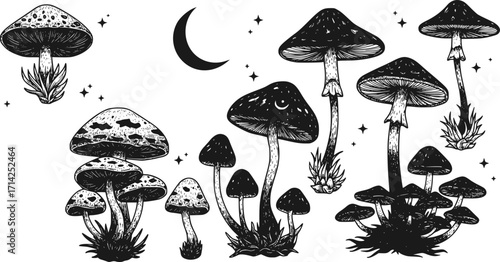 Magic mushroom with moon and stars set. Vector silhouette, black line contour drawing celestial fungus collection. Vector Black silhouettes. with white background 