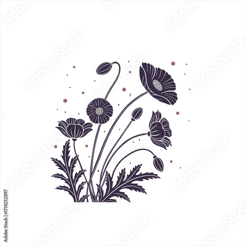 Dark purple poppy flowers and buds with leaves and dots