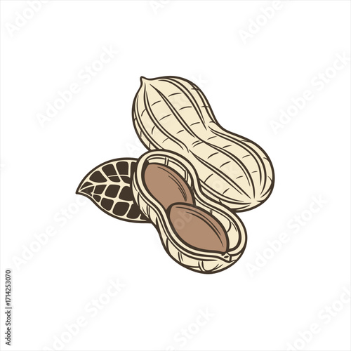 Illustration of peanuts with one shell opened revealing the nuts inside