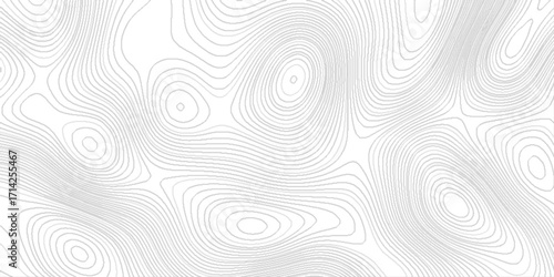 geography scheme and the terrain path, blank detailed topographic patter line map background, white wave paper curved reliefs abstract, panorama view gradient multicolor wave curve lines banner.