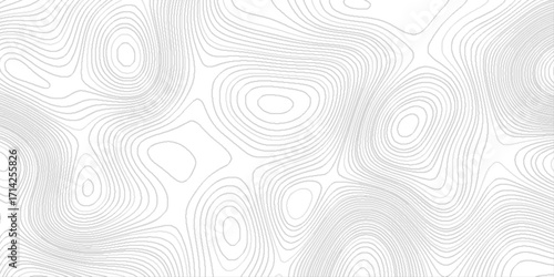 geography scheme and the terrain path, blank detailed topographic patter line map background, white wave paper curved reliefs abstract, panorama view gradient multicolor wave curve lines banner.