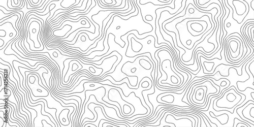 geography scheme and the terrain path, blank detailed topographic patter line map background, white wave paper curved reliefs abstract, panorama view gradient multicolor wave curve lines banner.